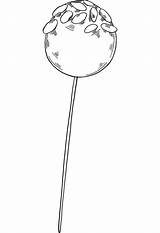 Lollipop Pirulito Doce Colorironline sketch template