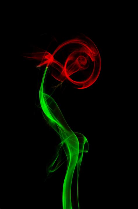 gambar abstrak bunga merokok mawar hijau merah warna makro