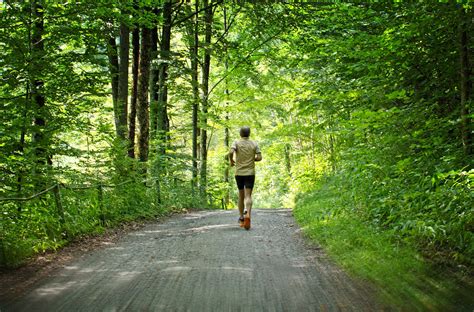 jogger man running   forest