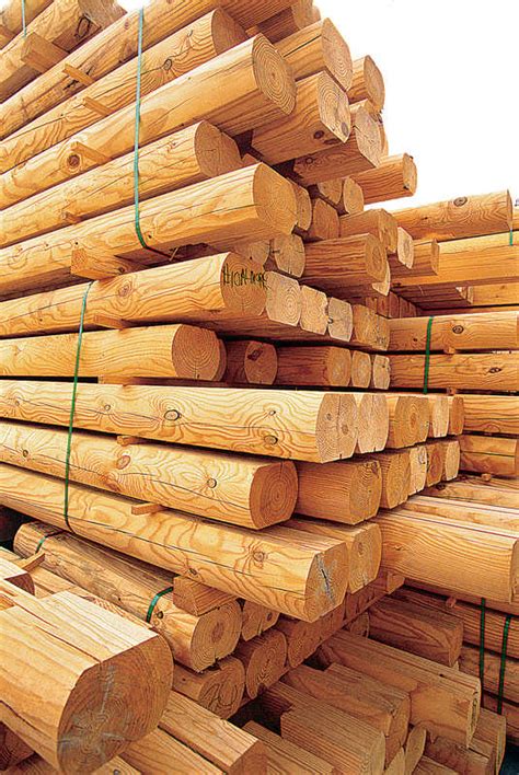 build  log home fast