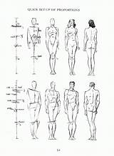 Drawing Figure Loomis Andrew Human Anatomy Reference Worth Draw Archive sketch template