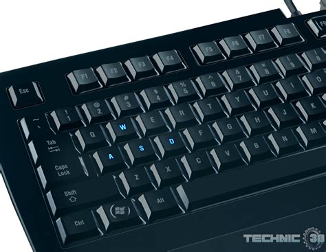 neue razer gaming tastaturen lycosa mirror und arctosa news technicd