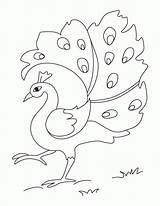Peacock Coloring Pages Popular sketch template