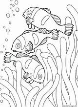 Coloring Pages Sea Ocean Animal Creatures Fish sketch template