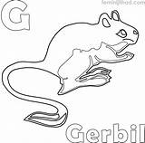 Coloring Gerbil Pages Gopher Getcolorings sketch template