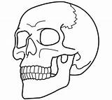 Skull Coloring Pages Kids Easy Drawings Printable Bestcoloringpagesforkids Line 3d sketch template