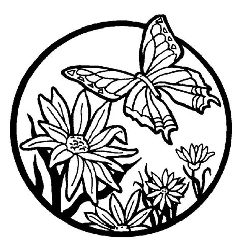 images  coloring pages butterflies  pinterest