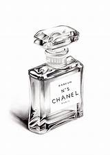 Chanel Realistic N5 Flacon Tekenen No5 Stilleven Frasco Shading Bottles Voorwerpen Graphite sketch template