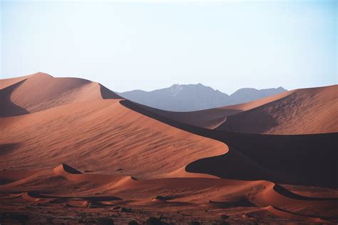 sand dunes  desert royalty  stock photo
