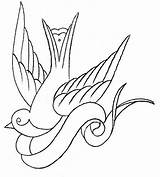 Swallow Sparrow Tatuajes Tubezzz Disenos Roosevelt Tatoos sketch template