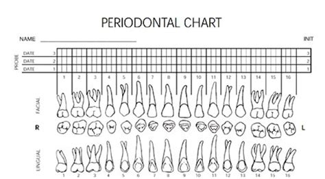 printable blank perio chart printable templates