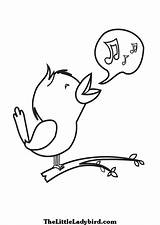 Bird Singing Drawing Coloring Getdrawings sketch template