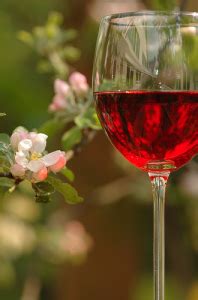 rose wines   versatile liz palmer international wine