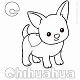 Chihuahua Chiwawa Coloringbay Chihuahuas Coloringfolder Pets sketch template