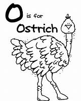 Coloring Pages Ostrich Letter Animal Kids Kindergarten Preschool Other Click sketch template