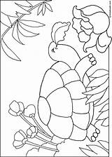 Tortue Turtle Colorier Coloring Kiezen Bord sketch template