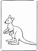 Kangaroo Coloring Animal Pages Please Kids Ti Thanks Enjoy Give Comment Also sketch template