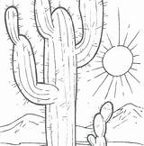 Cactus Coloring Saguaro Pages Getdrawings Printable Getcolorings Color sketch template