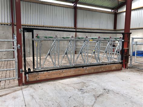 head lock barriers  handling  cattle easier agrilandie