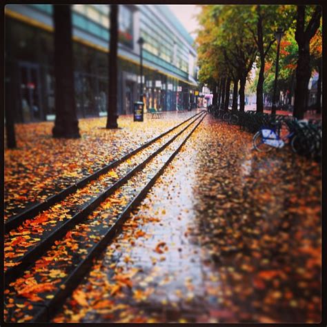 rainy autumn sunday glynne hather flickr