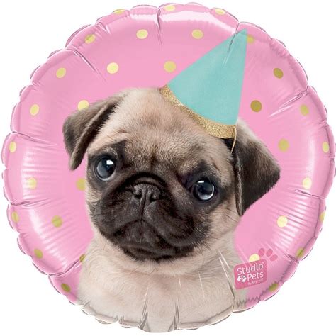 pug balloon   occasions   wwwilovepugscouk post worldwide happy birthday
