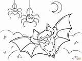 Halloween Coloring Pages Spiders Bat Bats Spider Printable Color Supercoloring Print sketch template