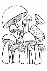 Kolorowanka Grzyb Colorir Rabiscos Cogumelos Champignons Cahier Coloriage Adults Garabatos Setas sketch template