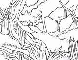 Pages Coloring Rainforest Trees Getcolorings Color sketch template