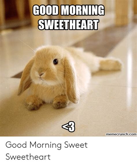 🇲🇽 25 Best Memes About Good Morning Sweetheart Meme