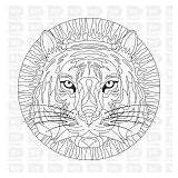Tigres Tigre Representan Energía Mucha Pasión sketch template
