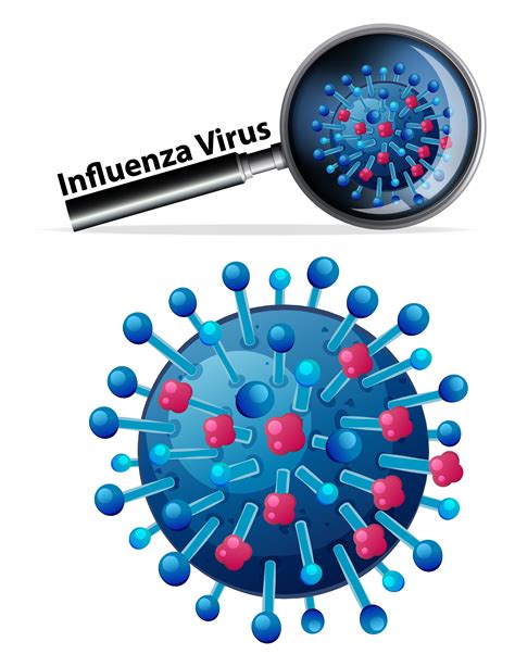 close   flu virus  vector art  vecteezy