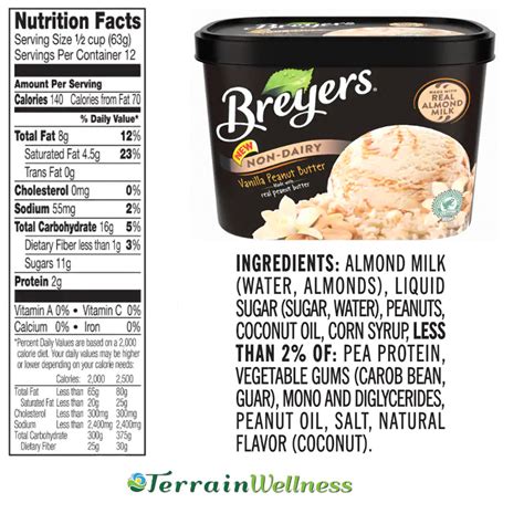 dairy vegan ice cream healthy