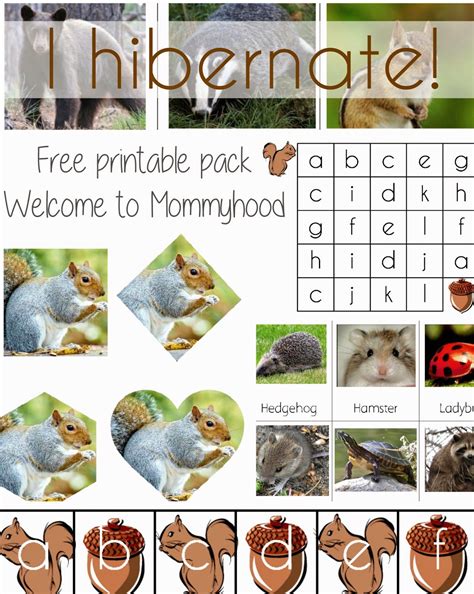 science activities  preschoolers  toddlers hibernation