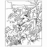 Canyon Coloring Book Grand Plants Animals Nature Coyotes Amazon Dover Throughout Found sketch template