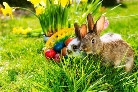 ostern wir wünschen unseren kunden erholsame und