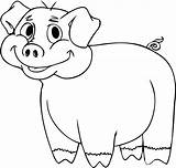 Pig Cartoon Drawing Templates Animal Coloring Pages Cute Draw Template Pigs Animals Colouring Easy Colour Simple Fill Color Step Drawings sketch template