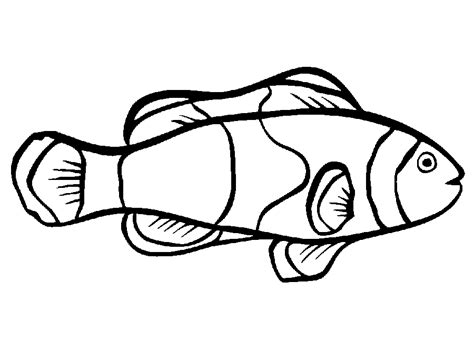 fish outline drawing coloring home