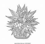 Agave Handdrawn Textile sketch template
