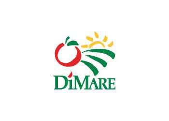 company profile dimare enterprises
