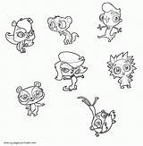 Pet Coloring Littlest Shop Pages Printable Sheets Print Cartoon Popular Book Gif Color sketch template