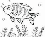 Fish Coloring Pages Cartoon Fishing Saltwater Real Puffer Boy Color School Printable Getcolorings Lure Template Shape Colorin Print Colorings Tropical sketch template