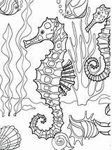 Pages Ocean Coloring Life Printable Color Getcolorings sketch template