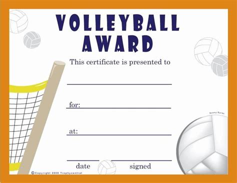 volleyball certificate template  dannybarrantes  awesome