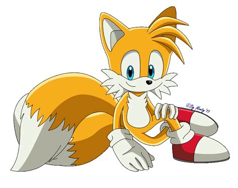 Sexy Tails My One And Only True Love I Saw On Sonic X