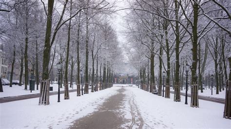 snowfall  happen  limburg  friday dutchreview