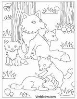 Foxes Pups sketch template