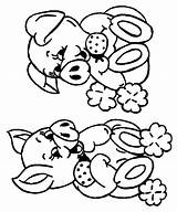 Coloring Pig Pages Printable Library Clipart Malvorlage Popular sketch template