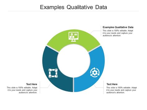 examples qualitative data  powerpoint  model