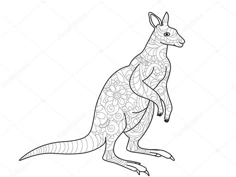kangaroo coloring book  adults vector illustration stock vector