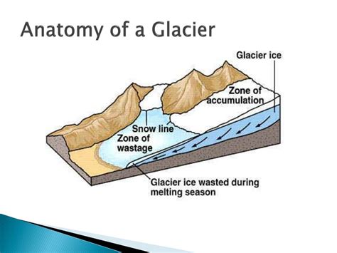 glaciers powerpoint    id